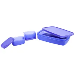 Signoraware Compact Bpa Free Plastic Lunch Box