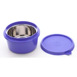 Signoraware Executive Microsafe STEEL 350ml container, Set of 1, Violet