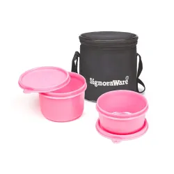 Signoraware Executive Small Lunch Box with Bag