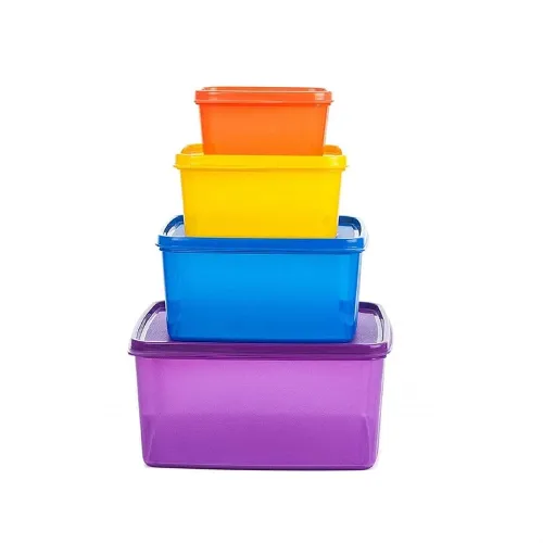 Image of Signoraware Family Fresh Tab BPA Free Plastic Containers Set