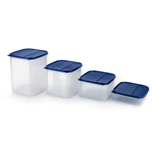 Image of Signoraware Easy to Organise Plastic Container Set, 4-Pieces, Blue