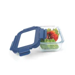 SignoraWare Secure N Store Borosilicate Container