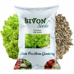SIVON Lettuce 250+ Vegetable Seeds for Home Garden