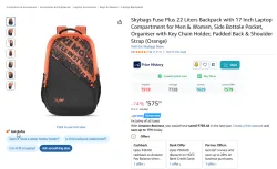 Skybags 22 Liters Backpack