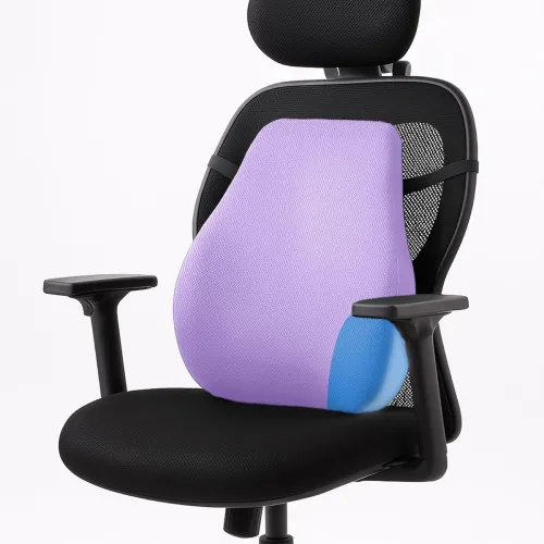 Image of Sleepsia Back Support for Office Chair 1 Year Warranty Lumbar Support for Office Chair