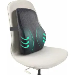 Sleepsia Lumbar Support Memory Foam Orthopedic Back Cushion