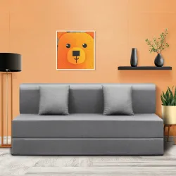 Sleepyhead Napster Designed by Duroflex - 3 Seater Foldable Sofa Bed with 2 Cushion