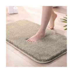 Soft Absorbent Doormat for Home Entrance, 
