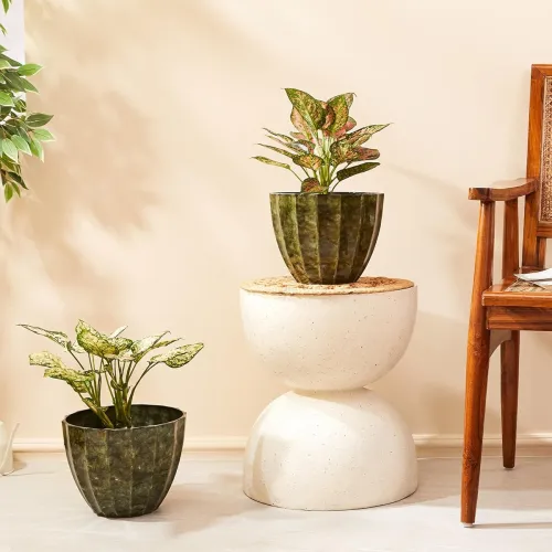 Image of Solimo 10 Inch Round Flower Planter Set