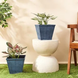 Solimo 10Inch Square Flower Planter (2-Pack)