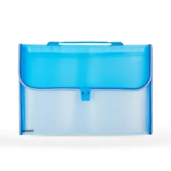 Solimo 13-Pocket A4 File Folder