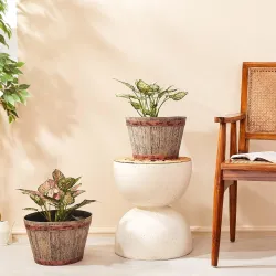 Amazon Brand- Solimo Indoor and Outdoor Round 14 Inch Barrel Flower Planter Pot Best for Terrace/Balcony/Home/Office Dec