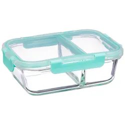 Solimo Two Compartment Borosilicate Glass Lunch Box Set 900ml
