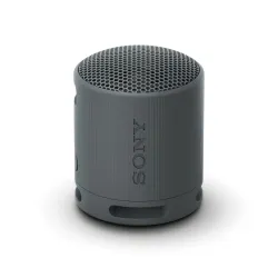 Sony SRS-XB100 Portable Bluetooth Speaker, Extra Bass, IP67 Waterproof & Dustproof, 16 Hr Battery, Hands-Free Calling, Strap – Black