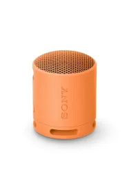 Sony SRS-XB100 Wireless Portable Speaker