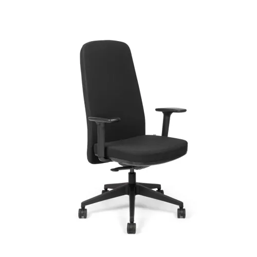 Image of SOS Spacewood LiteOffice Aura High Back Nylon Base Ergonomic Office Chair (Black)