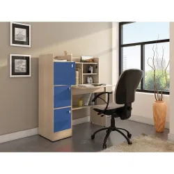Spacewood Study Table | 3 Year Warranty | Coral|Study Desk with Book Shelf, Office Table, Study Table for Adults, Table with 4 Shelves and 3 Shutter Storage | Engineered Wood | Drift Wood WP