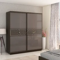 SPACEWOOD Engineered Wood 2 Door Wardrobe (Finish Color - HG BASALT GREY, Knock Down)