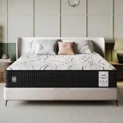 Springwel BioSleep 100% Natural King Size (72X72X6) Bed Mattress