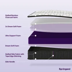 Springwel Dualis 2-in-1 Reversible 6 Inch Bed Mattress