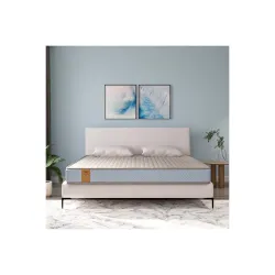 Springwel Easy TruComfort Pro 6 inch Latex Foam King Size Mattress | Medium Firm |