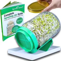 SproutSmart Glass, Plastic Sprout Maker  - 720 ml (Green, Clear)