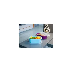 SR Refrigerator Storage Box Fruit & Vegetable Containers for Fresh Keeping | Kitchen Storage for Food, Snacks, and Salad