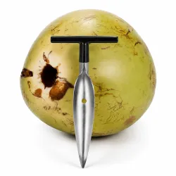 Stainless Steel Coconut Opener Tool with T-Handle