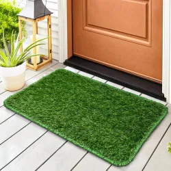 STATUS Artificial Grass Door Mat (Green, Small)