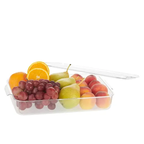 Image of Steelo Sofresh Small Organiser Plastic Container 