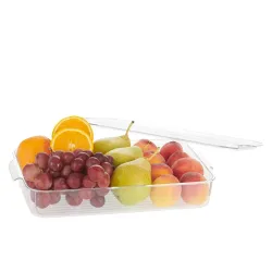 Steelo Sofresh Small Organiser Plastic Container 