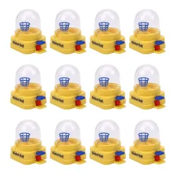 Storio Birthday Party Return Gift Pack of 12