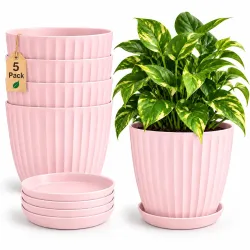 StyleX Store Plastic Round Flower Pots With Drainage Hole Saucers