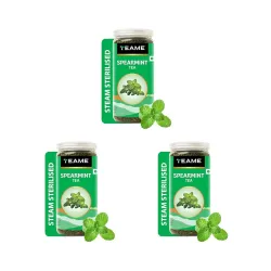 TE-A-ME Spearmint Infusion 100g Loose Leaf Tea