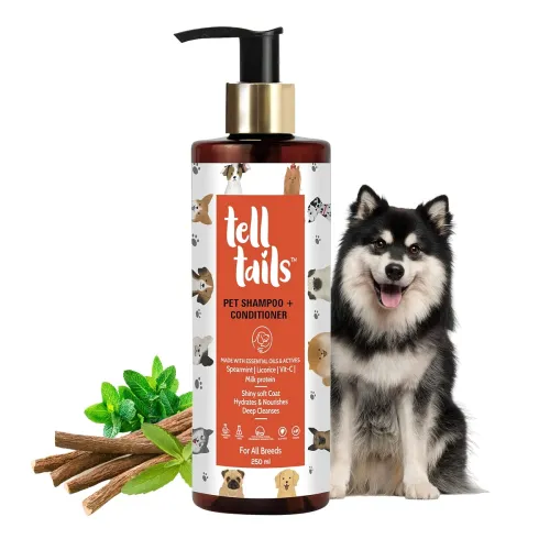 Image of Tell Tails 2-in-1 Shampoo and Conditioner (250ml)