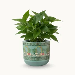 Terracotta Planter – Premium Glass Coated Planters for Home Decor | Artistic Flower Pots for Garden & Indoor | Table Top Decor (Mint, M)