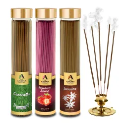 The Aroma Factory Strawberry Agarbatti
