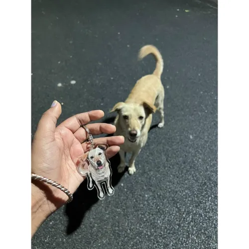 Image of THE GRANDEUR Personalized Pet Photo Acrylic Keychain