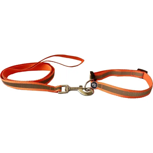 Image of The Pets Company Reflective Leash Collar Set for Medium Dogs, 4 Feet 20 MM, Orange