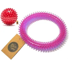 The Pets Company, Rubber Spiked Ball & Ring Dog Chew Toy