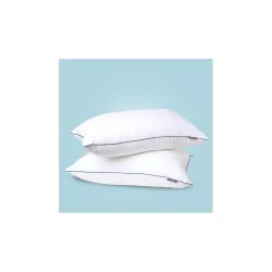 The Sleep Company Plush Pillow | Super Soft | 100% Virgin Microfiber Filling | Hypoallergenic |White, Pack of 2