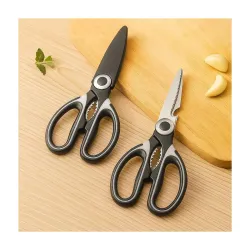 Titanium Kitchen Scissors | Anti-microbial, rust-free and detachable blades