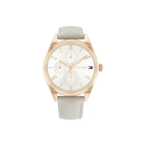 Image of Tommy Hilfiger Women Silver White Dial Analog Watch