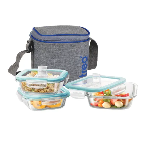 Image of Treo Transparent Square Glass Lunch Containers With Bag 320ml Each