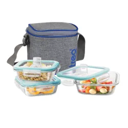 Treo Transparent Square Glass Lunch Containers With Bag 320ml Each