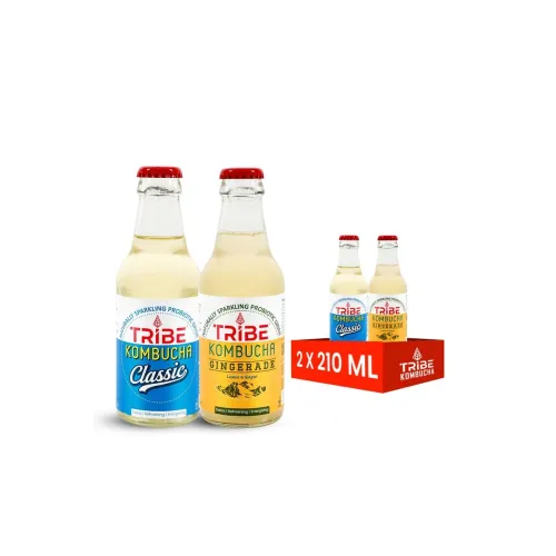 Image of Tribe Kombucha Probiotic Herbal Sparkling Tea – Pack of 4 (210ml)