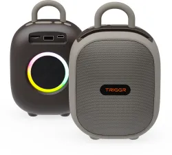 TRIGGR Roar 12 Portable BT, V5.3, FM Mode, Rubber Finish, 8 Hr Playtime 12 W Bluetooth Speaker (Rustic Dust, Mono Channe
