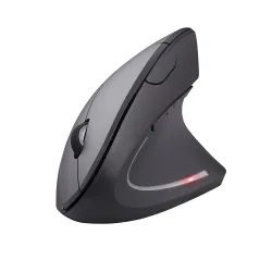 Trust Microware Rechargeable 2.4ghz Wireless
