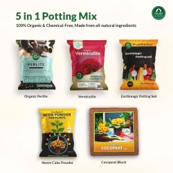 TrustBasket 5-in-1 Potting Mixture- Makes 10Kg Soil Less Mix with Cocopeat, Vermiculite, Perlite, Neem Powder & Organic Fertilizer for Healthy Plant Growth