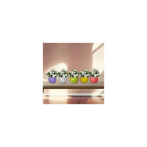 Image of TrustBasket Adam Self-Watering Pots, Set of 5